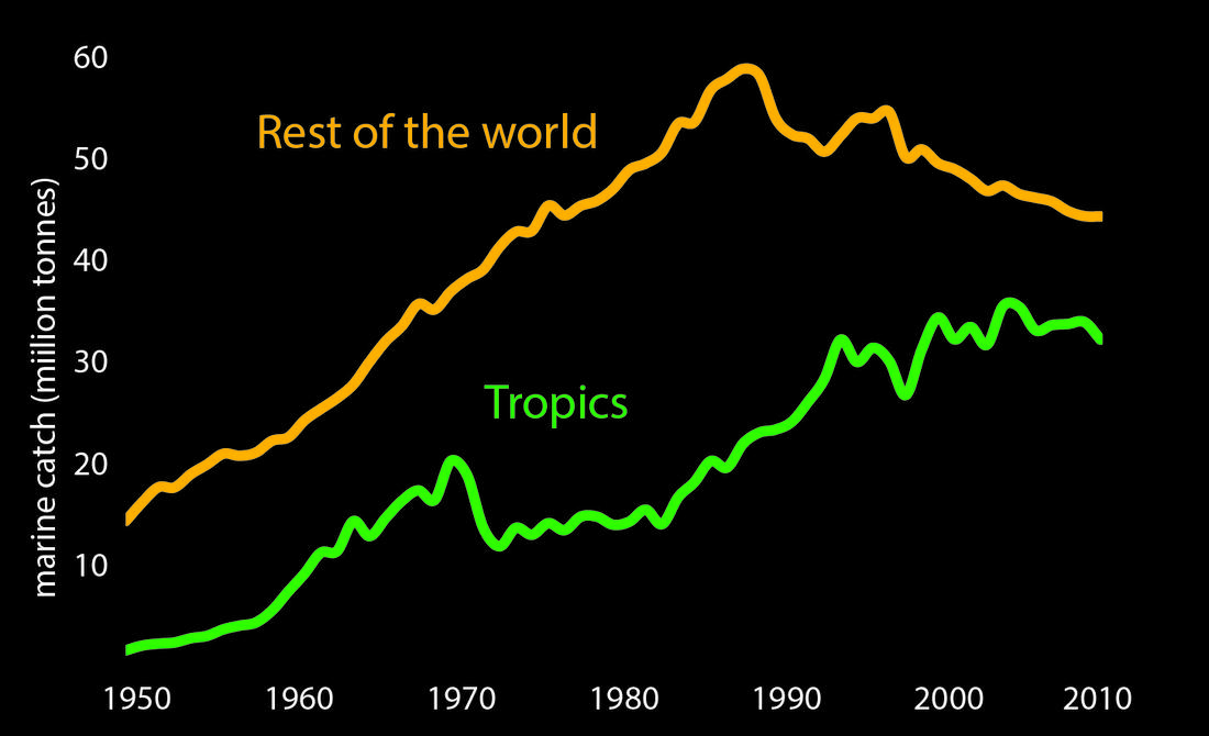 Marine catch has decreased outside of the tropics in recent decades as stocks have declined but they have continued increasing in tropical waters as human populations grow, become more affluent, and as international fishing effort has increased in the region.